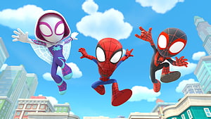 Spidey and His Amazing Friends: Spider-Man, Ghost-Spider, and Miles Morales Flying Over a City HD wallpaper