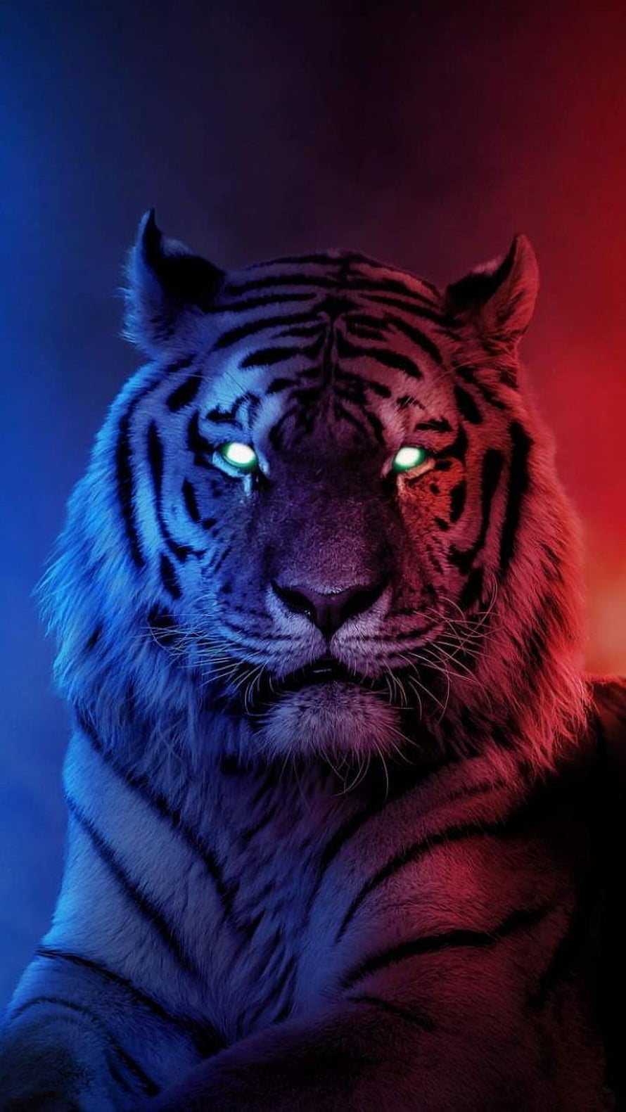 Glowing Tiger Portrait with Neon Blue and Red Lighting HD phone wallpaper