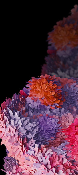 Vibrant 3D Render of Colorful Chrysanthemum Flowers on Black Background HD phone wallpaper