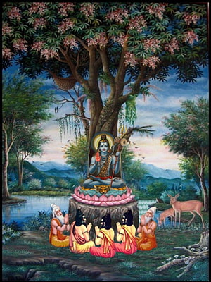 Dakshinamurthy Seated on Lotus with Disciples in a Serene Forest Landscape HD phone wallpaper