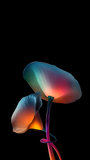 Abstract Glowing Flowers With Neon Gradient Petals On Black Background HD phone wallpaper