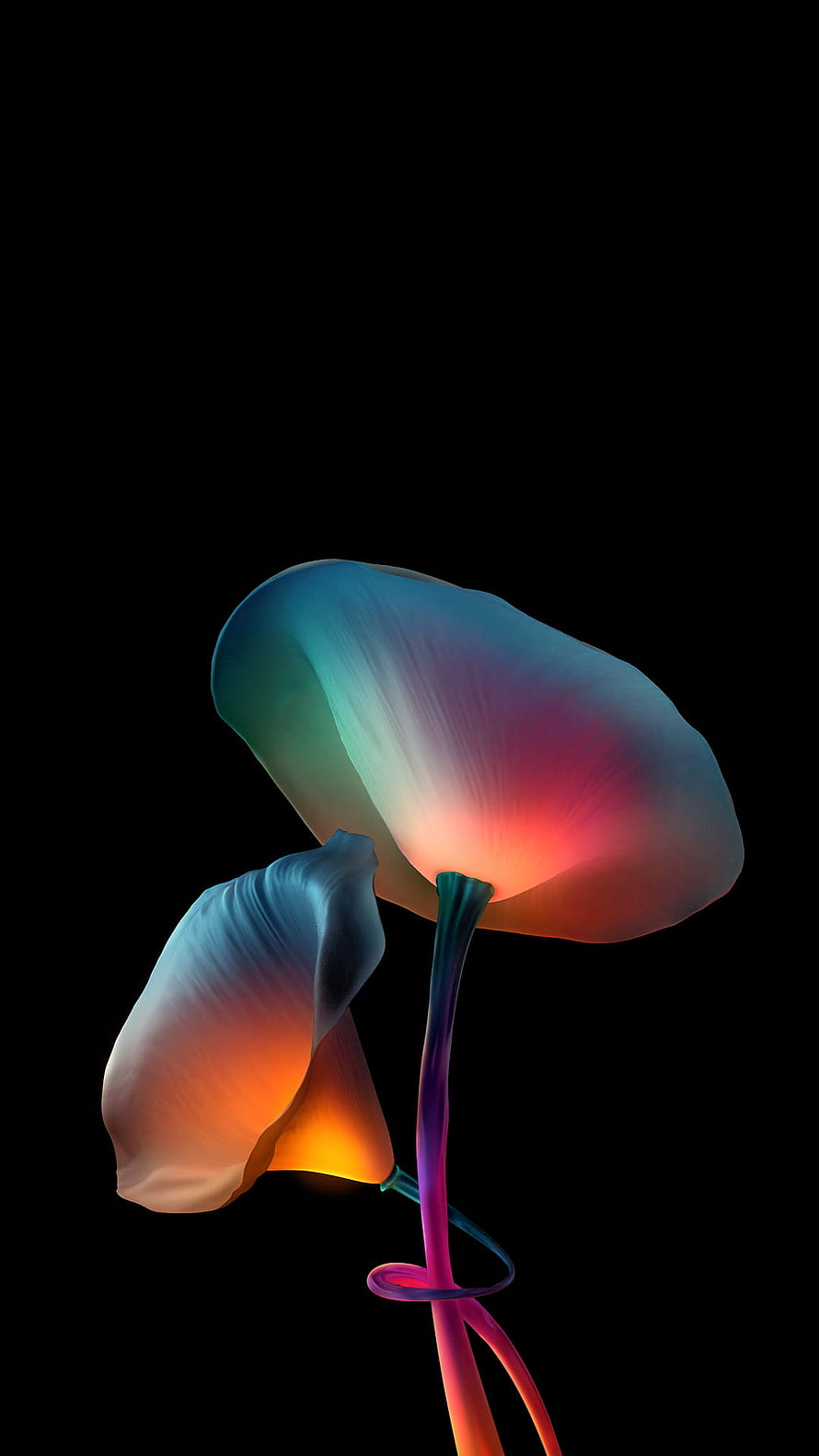 Abstract Glowing Flowers With Neon Gradient Petals On Black Background HD phone wallpaper
