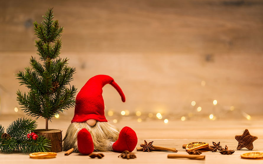 Festive Christmas Gnome with Miniature Pine Tree and Spices HD wallpaper