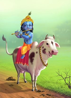 Baby Krishna Playing Flute While Riding a White Cow in a Green Pastoral Landscape HD phone wallpaper