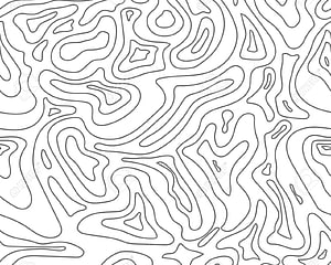 Seamless Topographic Contour Line Pattern for Minimalist Cartography Backgrounds HD wallpaper