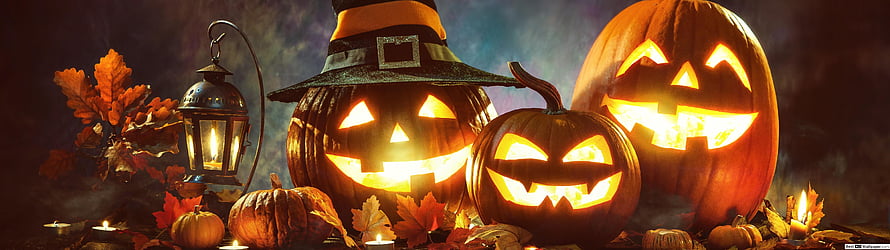 Spooky Halloween Jack-o'-Lanterns with Witch Hat and Lantern HD wallpaper