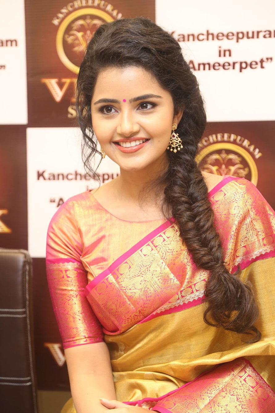 Anupama Parameswaran in a pink and gold silk saree with a long braid HD phone wallpaper