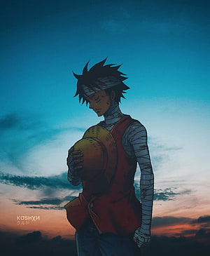 Injured Monkey D. Luffy Holding Straw Hat Against Sunset Sky HD phone wallpaper