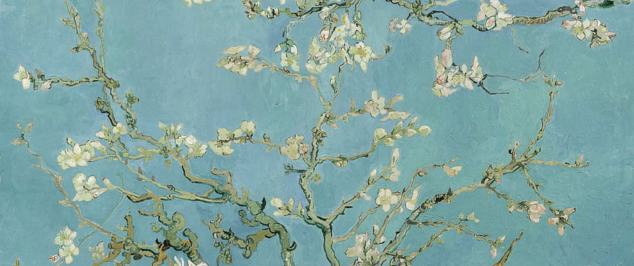 Van Gogh Almond Blossom Painting with White Flowers on Blue Background HD wallpaper