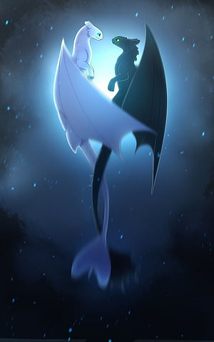 Toothless and Light Fury soaring through a starlit night sky in How to Train Your Dragon HD phone wallpaper