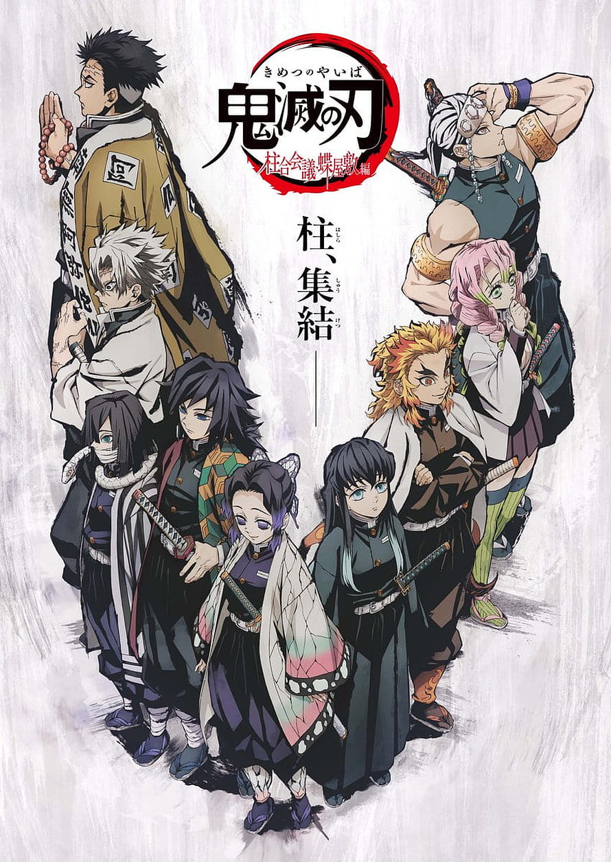 Demon Slayer Hashira Gathering Anime Poster Featuring All Pillars HD phone wallpaper