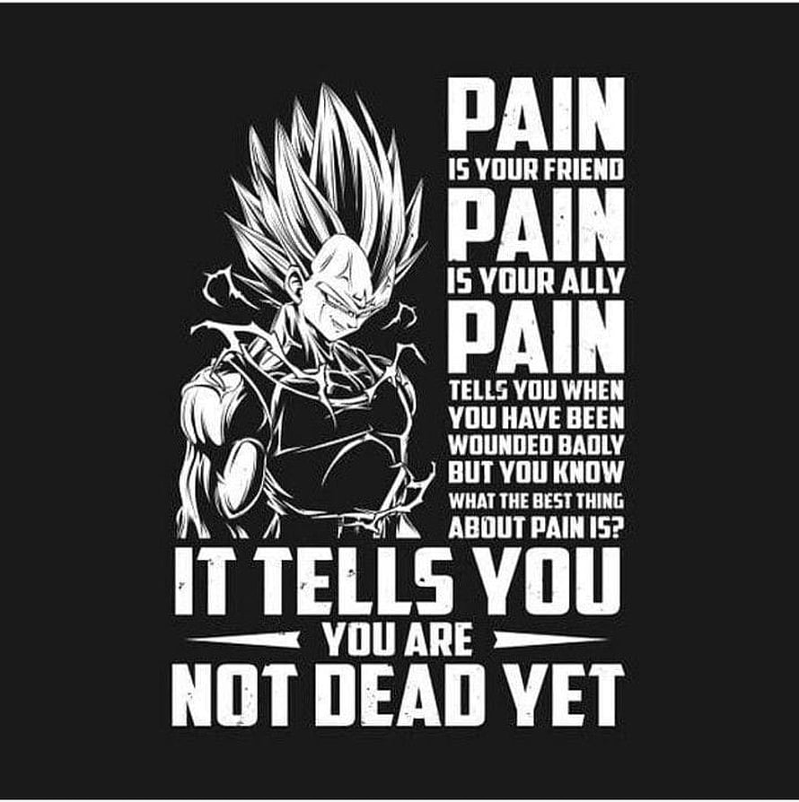 Vegeta Super Saiyan Black And White Anime Wallpaper With Motivational Pain Quote HD phone wallpaper