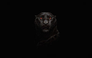 Black Panther Portrait with Glowing Red Eyes on Dark Background HD wallpaper