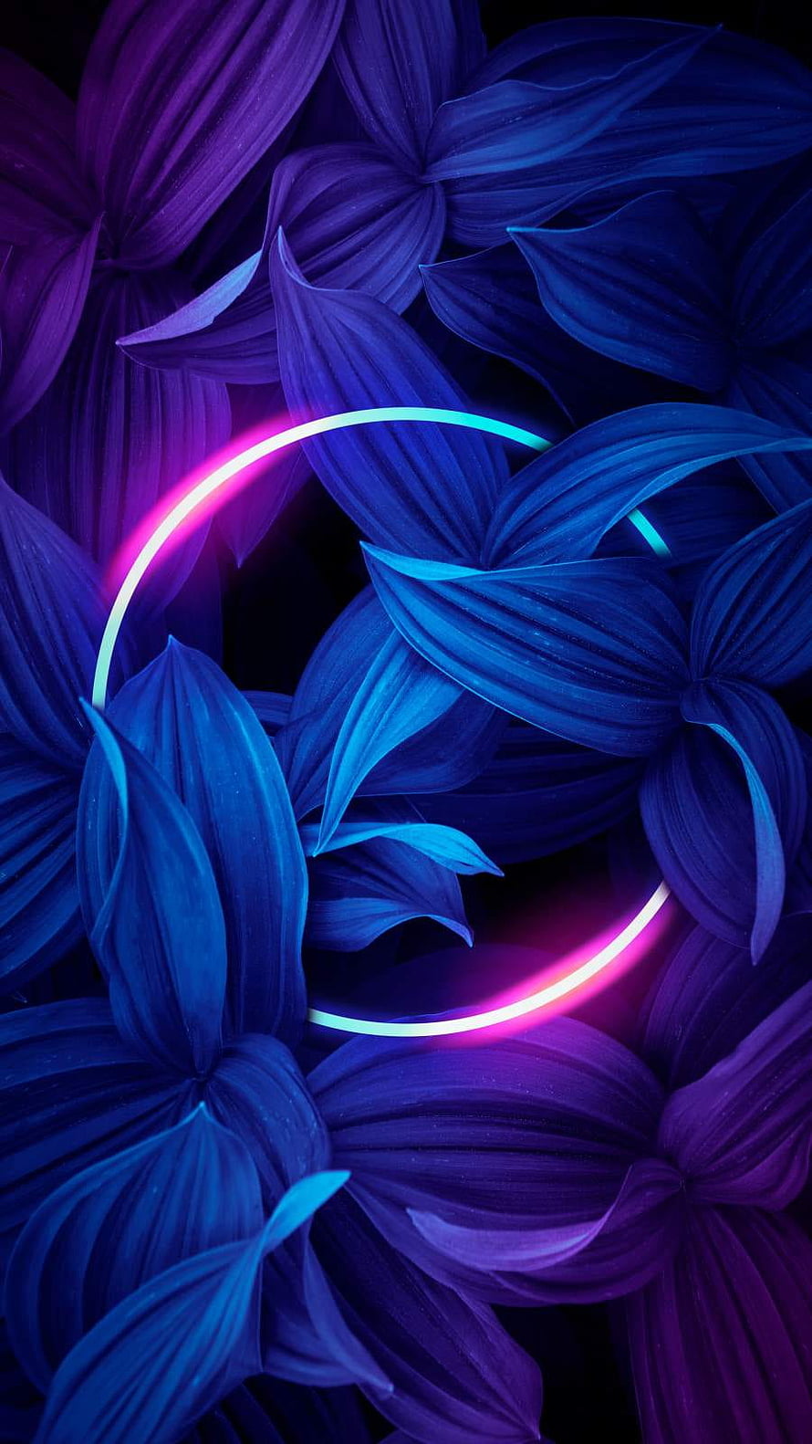 Neon Circle Abstract Wallpaper With Blue And Purple Leaves HD phone wallpaper