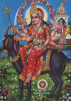 Maa Mansa Devi Hindu Goddess Riding Black Goat With Trishul And Temple Background, Meldi / Meladi Maa, meldi maa HD phone wallpaper
