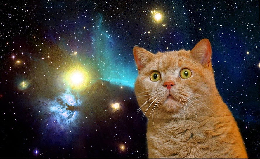Orange Tabby Cat With Surprised Expression Against Colorful Nebula And Starry Space Background HD wallpaper