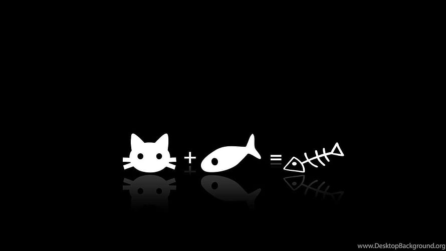 Minimalist Cat and Fish Equation Icon Design on Black Background HD wallpaper