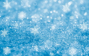 Winter Wonderland Snowflakes and Bokeh Background HD wallpaper