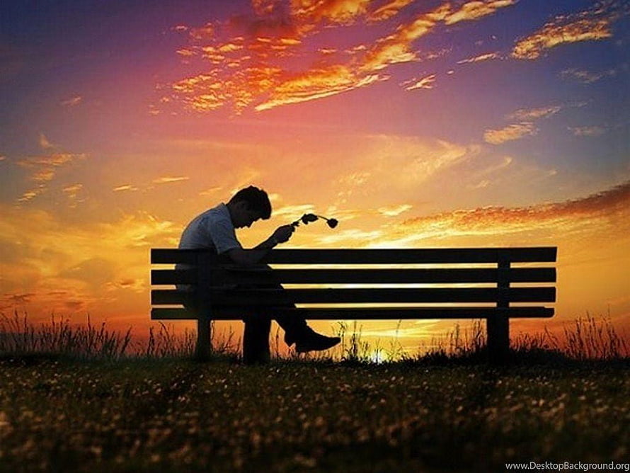 Silhouette of a man sitting on a park bench at sunset holding a wilted flower, Beautiful For Love Sad, love sad background HD wallpaper