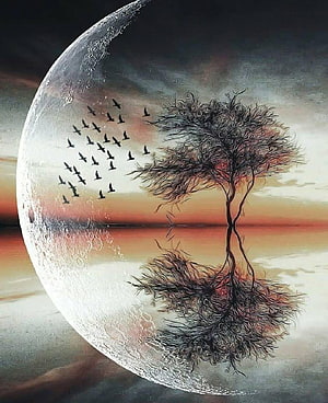 Surreal Moon Landscape with Bare Tree and Flying Birds at Sunset HD phone wallpaper