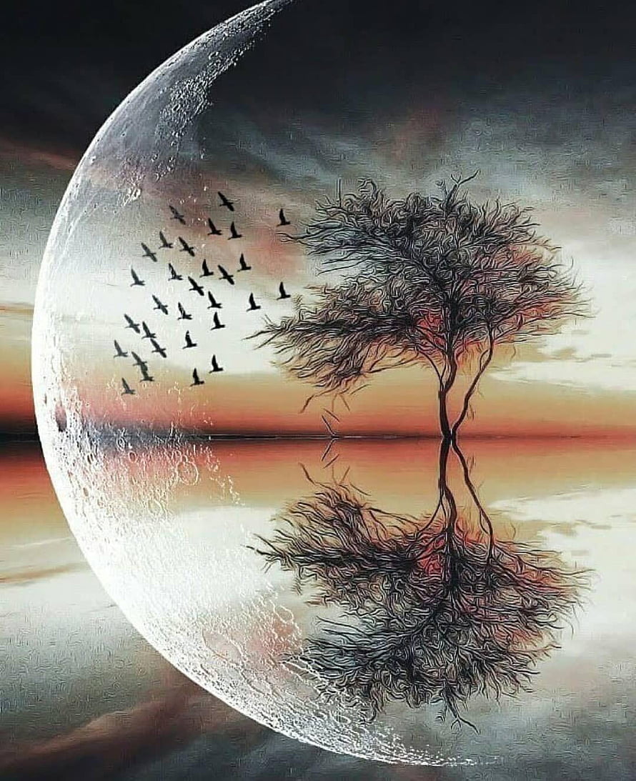 Surreal Moon Landscape with Bare Tree and Flying Birds at Sunset HD phone wallpaper