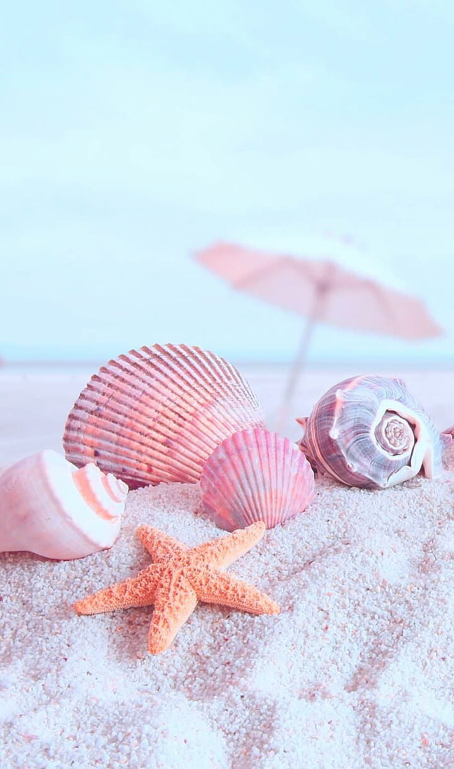 Pastel Pink Seashells and Starfish on Sandy Beach with Blurred Umbrella Background HD phone wallpaper