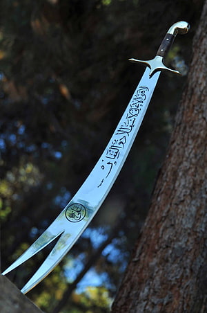 Traditional Scimitar Sword With Arabic Calligraphy Etched On Blade Resting Against Tree HD phone wallpaper