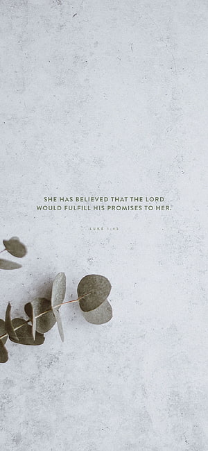 Minimalist Eucalyptus Branch with Luke 1:45 Bible Verse on Textured White Background HD phone wallpaper