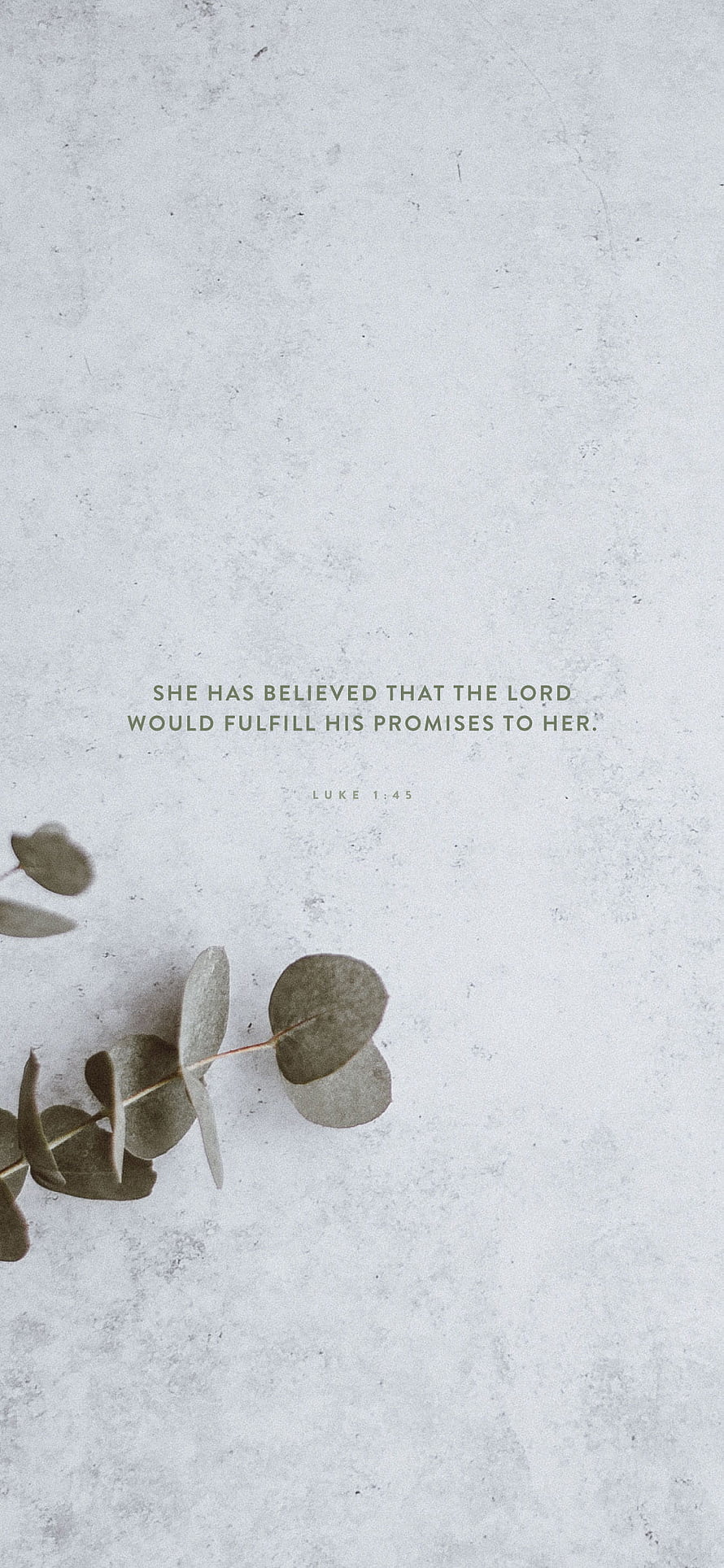 Minimalist Eucalyptus Branch with Luke 1:45 Bible Verse on Textured White Background HD phone wallpaper