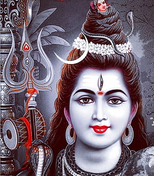 Portrait of Lord Shiva with Trishul, Crescent Moon, and Snake Adornments HD phone wallpaper