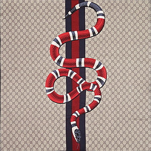 Gucci Snake Print Silk Scarf with Red Blue Stripe and GG Monogram Pattern HD wallpaper