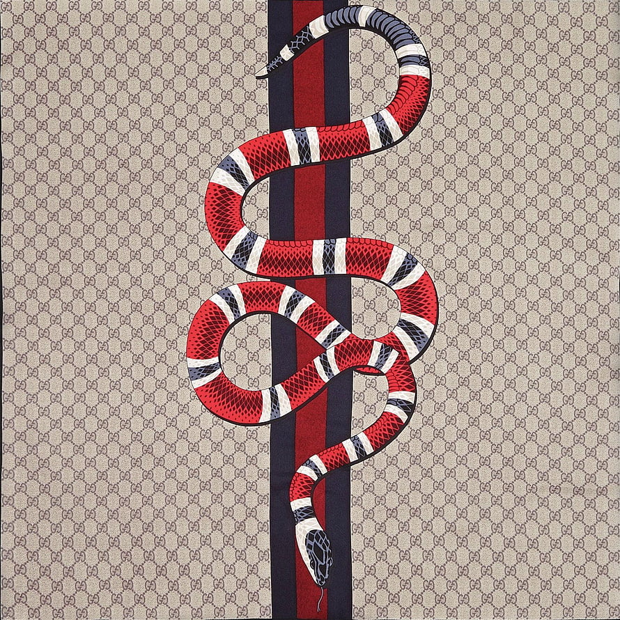 Gucci Snake Print Silk Scarf with Red Blue Stripe and GG Monogram Pattern HD wallpaper