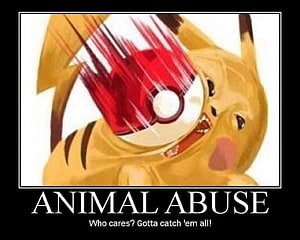 Pikachu Throwing Pokeball Meme with Animal Abuse Caption HD wallpaper