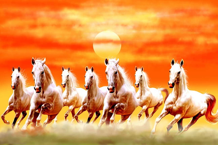 Herd of White Horses Galloping at Sunset HD wallpaper
