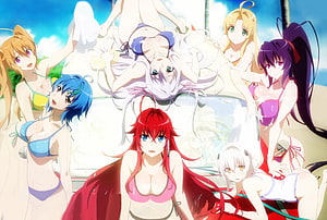 High School DxD anime cast in colorful beachwear on a sunny tropical shore HD wallpaper