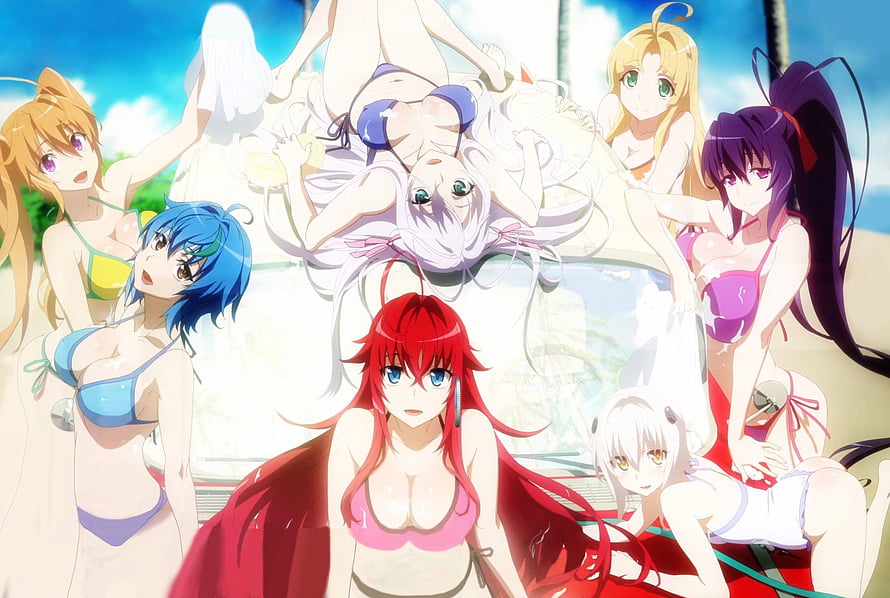 High School DxD anime cast in colorful beachwear on a sunny tropical shore HD wallpaper