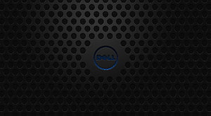 Dell Logo on Black Perforated Metal Texture Background HD wallpaper