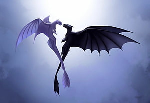 Light Fury and Night Fury dragons flying together in misty sky from How to Train Your Dragon HD wallpaper
