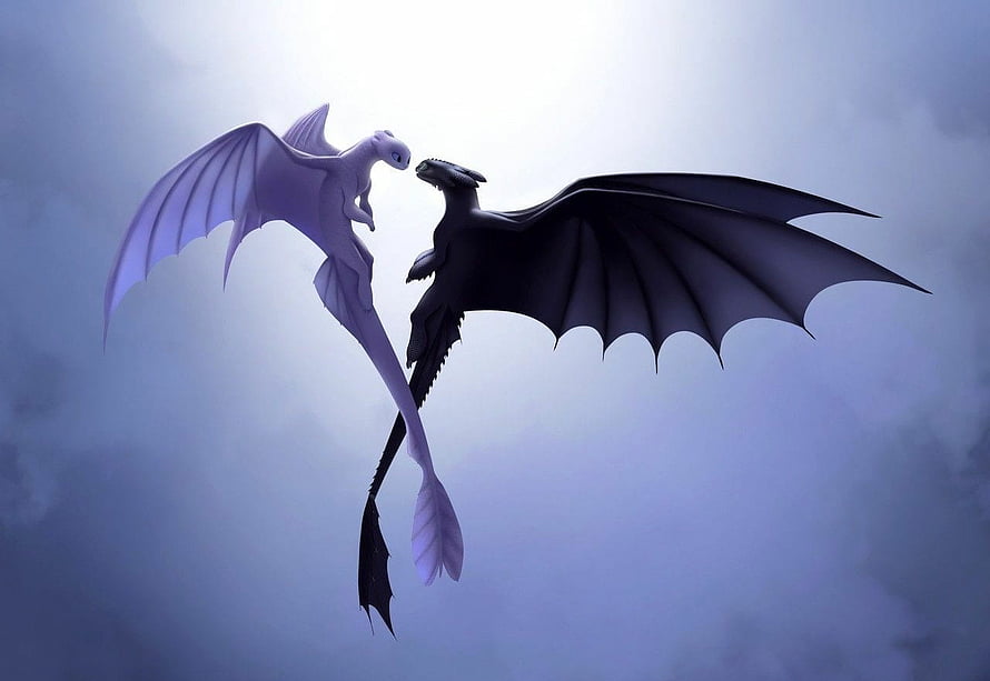Light Fury and Night Fury dragons flying together in misty sky from How to Train Your Dragon HD wallpaper