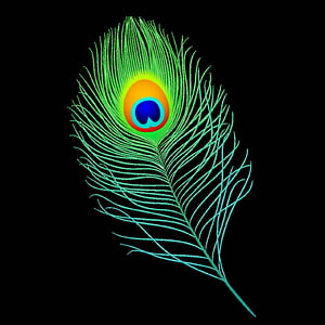 Vibrant Peacock Feather Illustration With Neon Green And Blue Eye Pattern On Black Background HD phone wallpaper