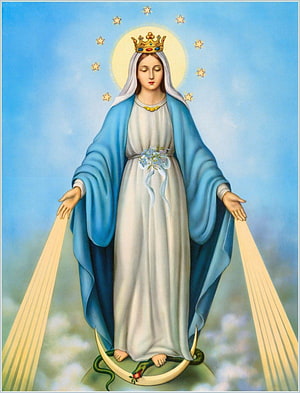 Immaculate Conception of Mother Mary Religious Artwork with Crown and Crescent Moon HD phone wallpaper
