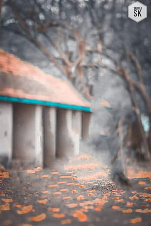 Moody Autumn Scene with Falling Leaves and Misty Background HD phone wallpaper