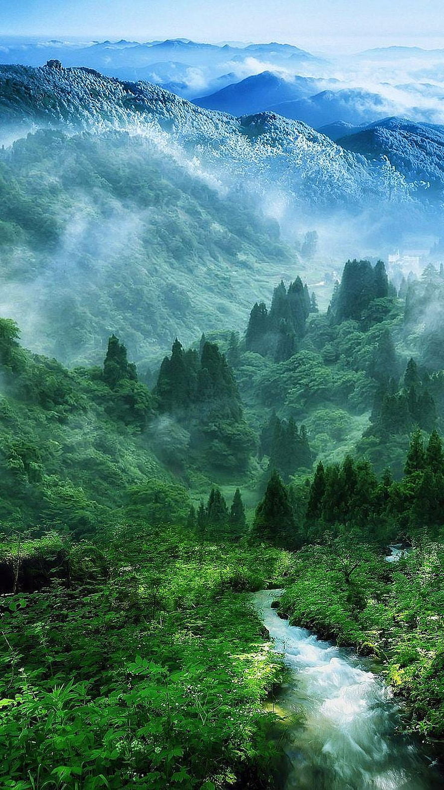 Misty Mountain Valley With Flowing Stream And Lush Green Forest HD phone wallpaper