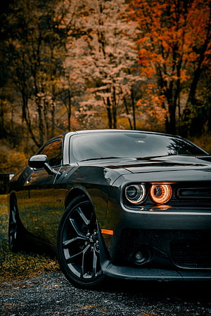 Black Dodge Challenger SRT Parked in Autumn Forest with Glowing Headlights HD phone wallpaper