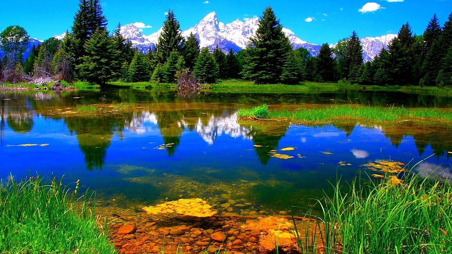 Serene Mountain Lake Reflection with Snow-Capped Peaks and Pine Forest HD wallpaper