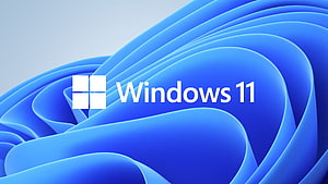 Windows 11 Default Blue Bloom Abstract Wallpaper with Official Logo HD wallpaper
