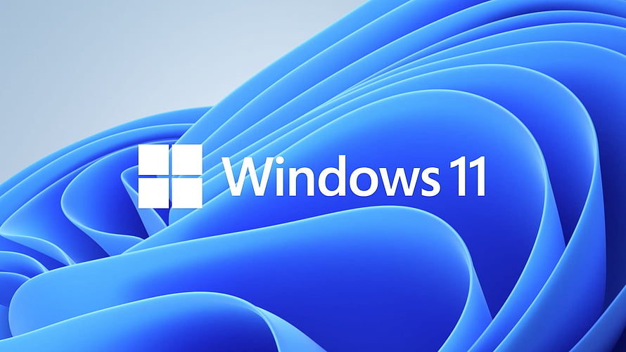 Windows 11 Default Blue Bloom Abstract Wallpaper with Official Logo HD wallpaper