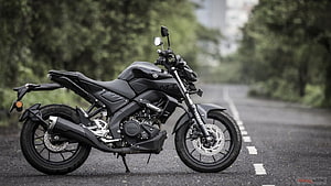 Yamaha MT-15 Black Naked Motorcycle Parked on Scenic Road HD wallpaper