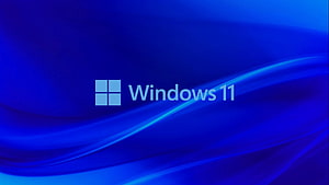 Windows 11 Default Blue Abstract Wallpaper with Logo HD wallpaper