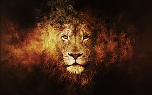 Majestic Lion Head Portrait with Fiery Orange and Golden Smoke Effects HD wallpaper